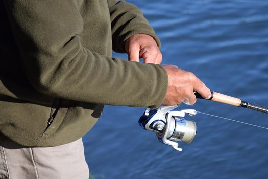 Carnet de pêche de l'Alose