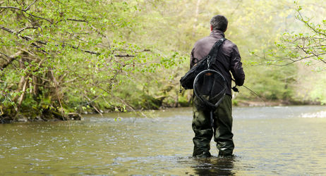 Fermeture pêche de la truite