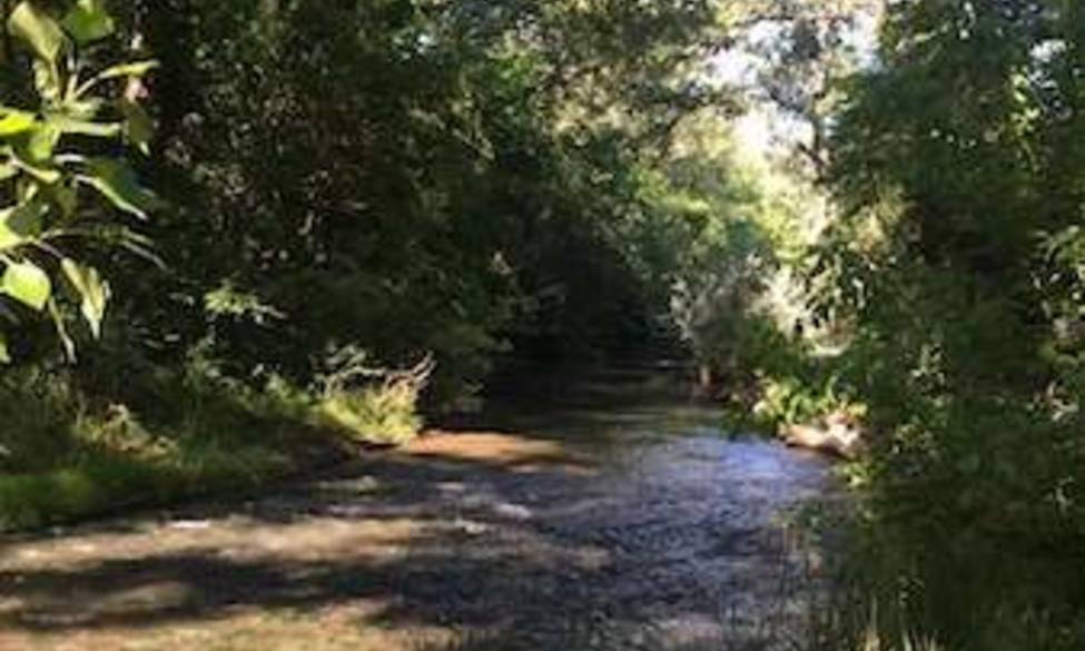 Assemblée Générale Exercice 2025