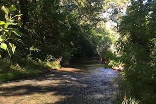 Assemblée Générale Exercice 2025