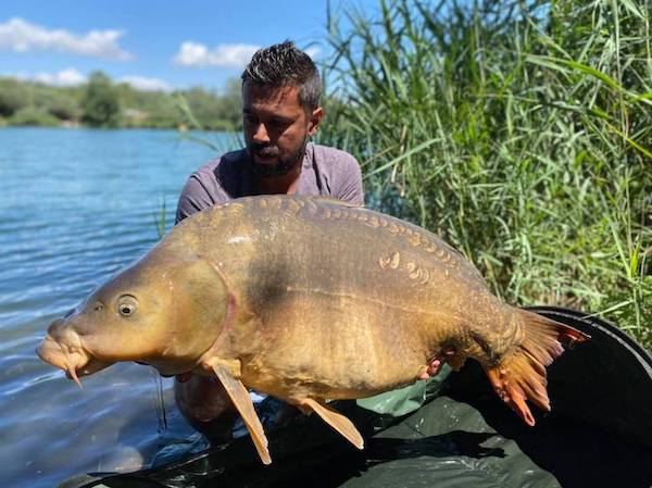 Pêcher la Carpe en Loire-Atlantique - Fédération de pêche 44