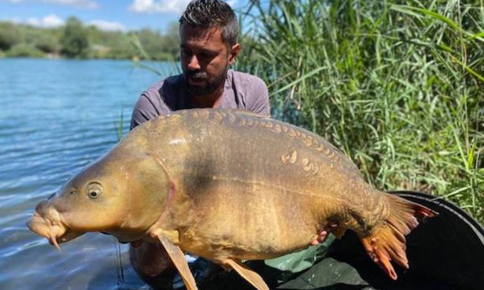 INFOS PECHE DE LA CARPE AU SAN PEYRE
