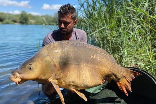 INFOS PECHE DE LA CARPE AU SAN PEYRE