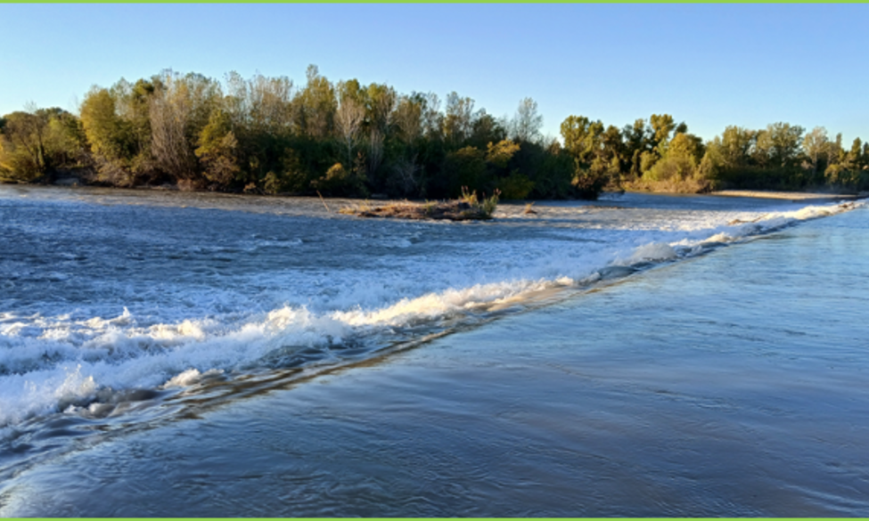 Communiqué FNPF RMC PECHE