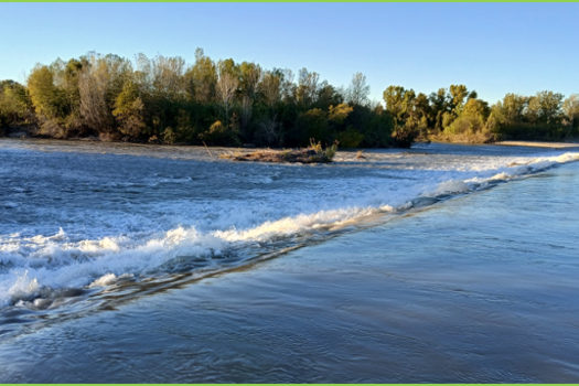 Communiqué FNPF RMC PECHE