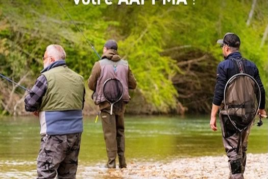 ELECTIONS AAPPMA 2026